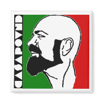 GIANLUCA IANNONE MAGNETS