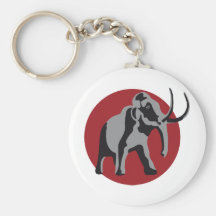 Giant 3c keychains
