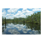 Giant 6ftx4ft-Southern Ms. River Swamp