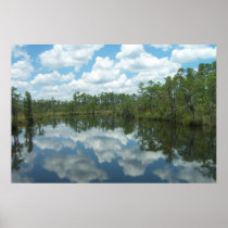 Giant 6ftx4ft-Southern Ms. River Swamp posters