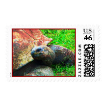 Giant Aldabra Tortoise Grunge, Kansas City Zoo Postage