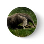 Giant Anteater Buttons