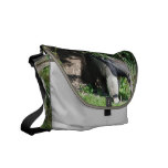 Giant Anteater Looking for Ants Messenger Bag