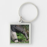 Giant Anteater Photo Keychain