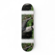 Giant Anteater Photo Skateboard