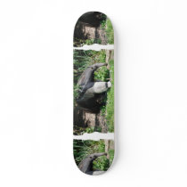 Giant Anteater Skateboard