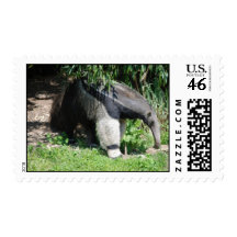 Giant Anteater Stamp