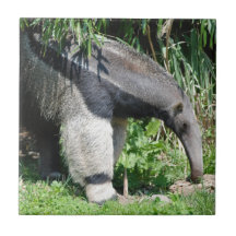 Giant Anteater Tile