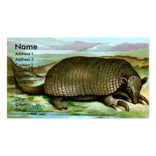Giant Armadillo Business Card