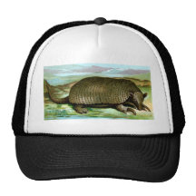 Giant Armadillo Mesh Hats