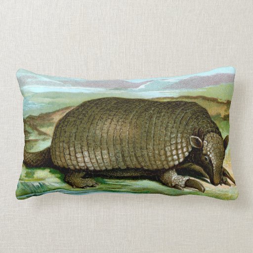Giant Armadillo Pillows