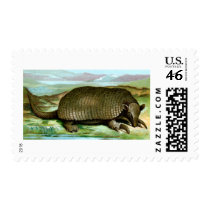 Giant Armadillo Stamp