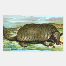 Giant Armadillo Stickers