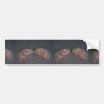 Giant Atlantic cockle (Dinocardium robustum) Shell Bumper Stickers