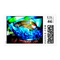 Giant Betta Postage Stamps
