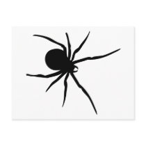 Giant Black Spider Post Cards