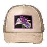 Giant Blue Purple Iris Hats
