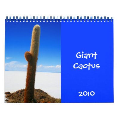 giant cactus 2010 calendar by cardart