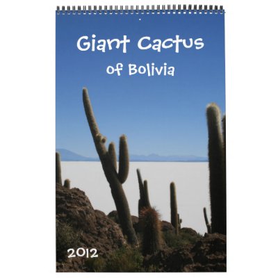 calendars 2012. giant cactus calendar 2012 by