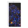 Giant Christmas Picture Card