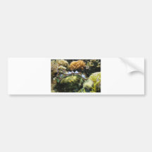 Giant Clam Bumper Stickers