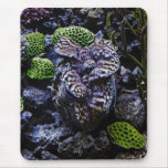 Giant Clam Mouse Pad