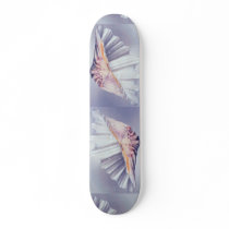 giant clam shell for decorative use skateboard deck