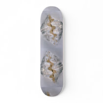 giant clam shell for decorative use skate board