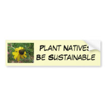 Giant Coneflower, Rudbeckia maxima bumper stickers