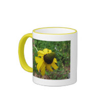Giant Coneflower, Rudbeckia maxima mugs