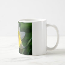 Giant Daffodil Coffee Mug