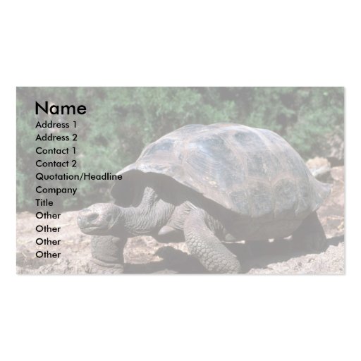 Giant Dome-Shaped Tortoise Walking Business Card Template