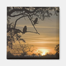 Giant Eagle Owls (Bubo lacteus) silhouetted at Refrigerator Magnet