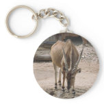 Giant Eland Keychains
