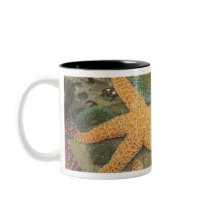 Giant green anemones and ochre sea stars coffee mug