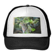 Giant Hump Headed Lizard Hats