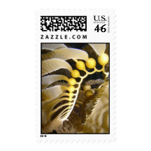 Giant Kelp Frond Stamp