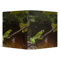 Giant leaf frog Phyllomedusa bicolor) 2 3 Ring Binder