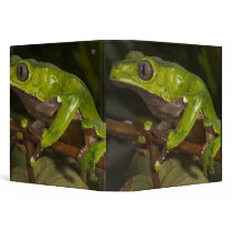 Giant leaf frog Phyllomedusa bicolor) 3 Vinyl Binders