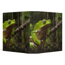 Giant leaf frog Phyllomedusa bicolor) Binders