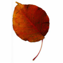 Giant Leaf IV photo sculptures by daas_1 Giant Leaf IV photo sculptures