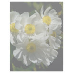 Giant Mountain Buttercup Letterhead Design