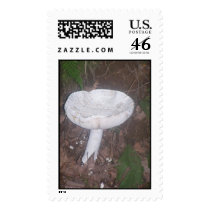 "GIANT MUSHROOM" postage by crrfan "GIANT MUSHROOM" postage
