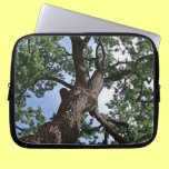 Giant Oak Tree Color Photo Laptop Sleeve laptop sleeves