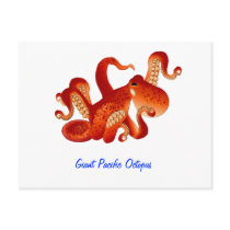Giant Pacific Octopus postcards