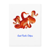 Giant Pacific Octopus postcards