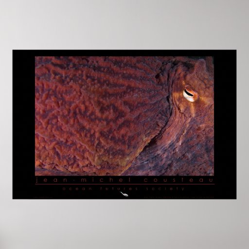 Giant Pacific Octopus Poster