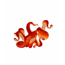 Giant Pacific Octopus t-shirts