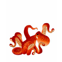 Giant Pacific Octopus t-shirts
