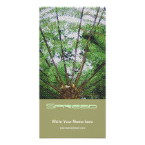 Giant Palm photo cards